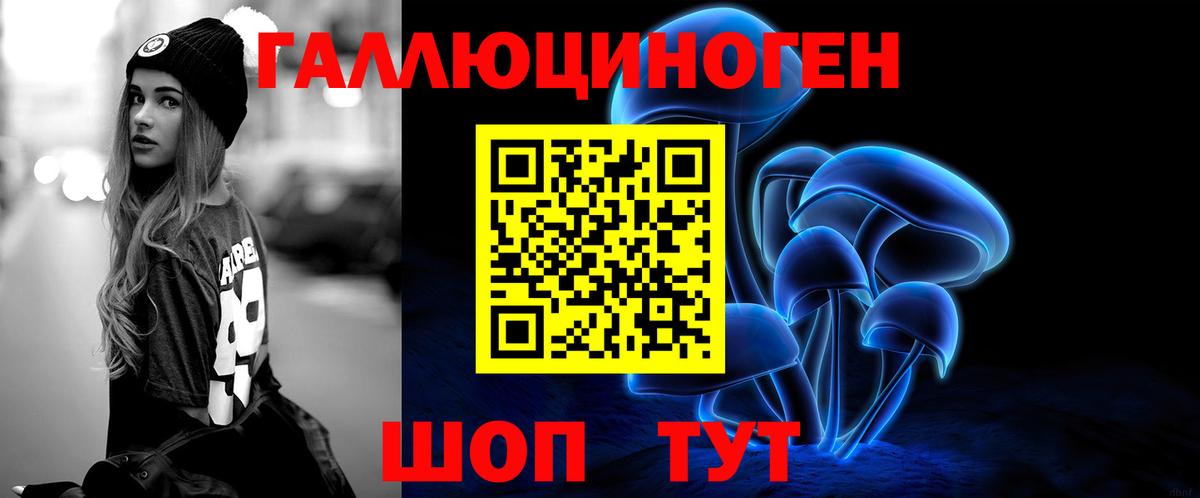 Вязники  Галлюциногенные грибы GOLDEN TEACHER  Галлюциногенные грибы ЛСД  Вход с VPN 